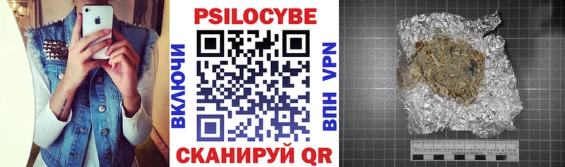 Псилоцибиновые грибы мицелий  Самара 