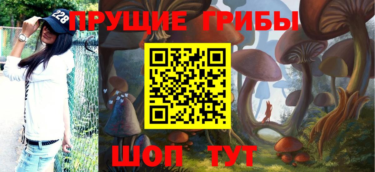 Псилоцибиновые грибы мицелий Самара