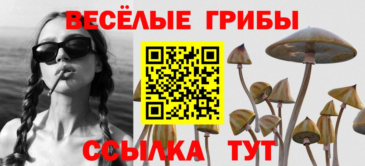 Самара  Бошки Шишки  Вход с VPN  Экстази  Гашиш  Мефедрон  