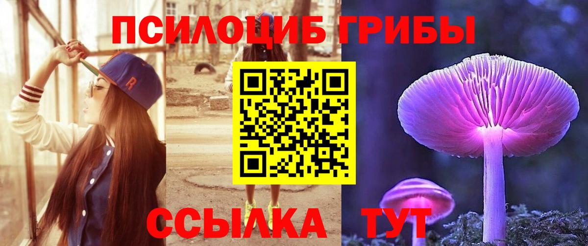 Самара  Псилоцибиновые грибы Cubensis  Вход с VPN 