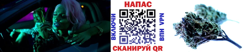 Бошки Шишки планчик Самара